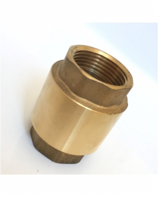 spring-check-valve-25mm